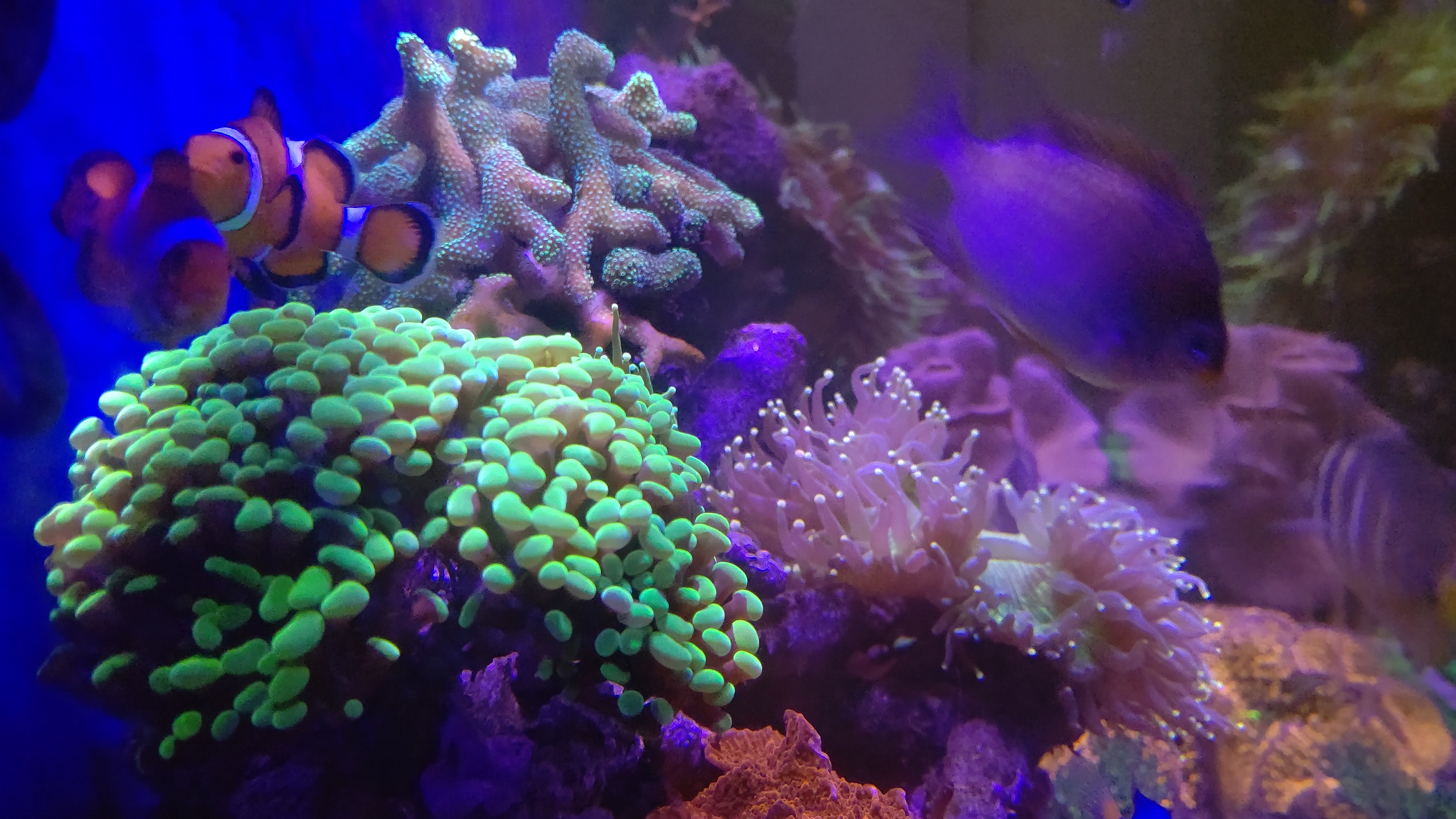 角度を変えた画像