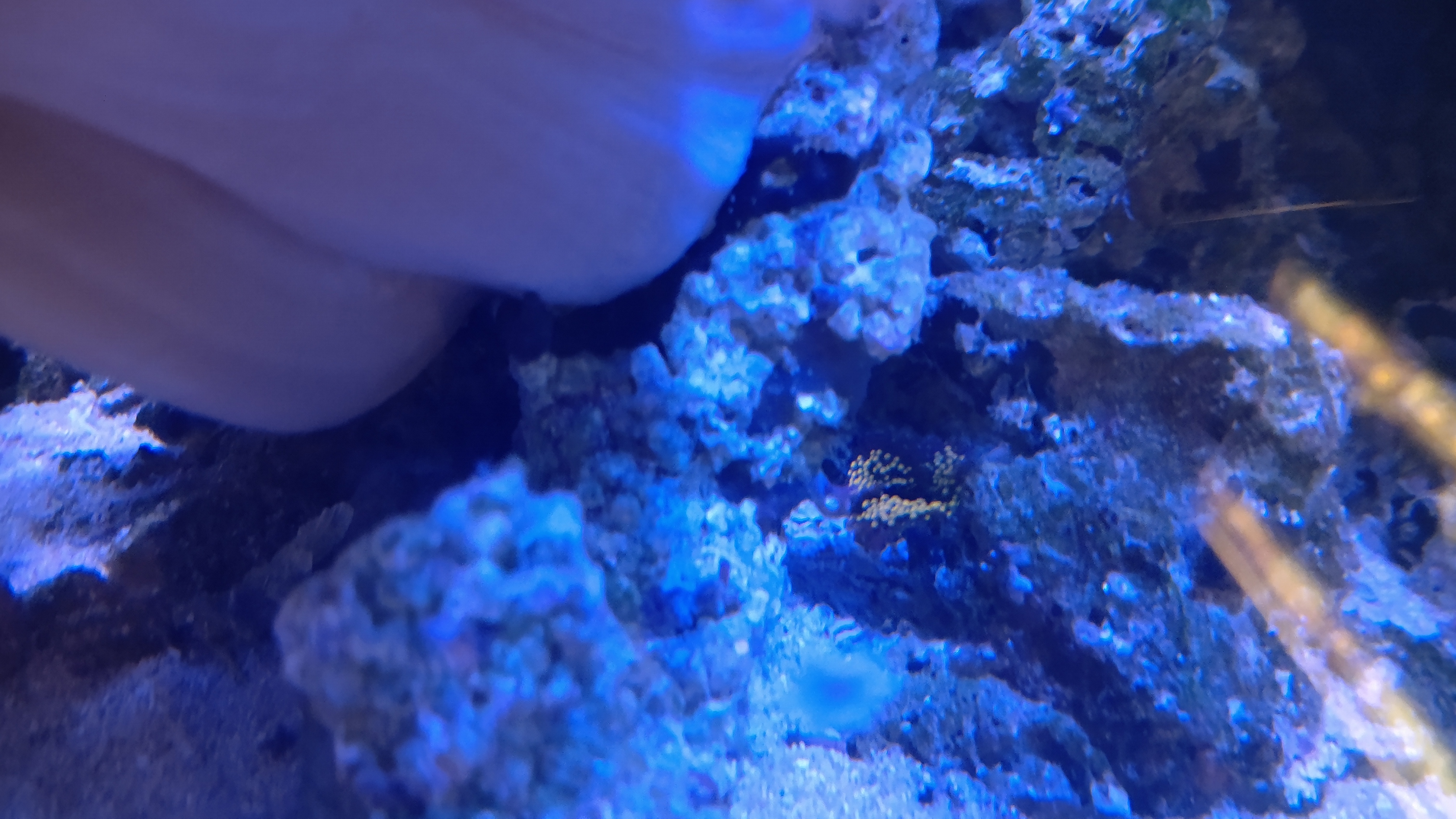 色々なところのバブルディスク２