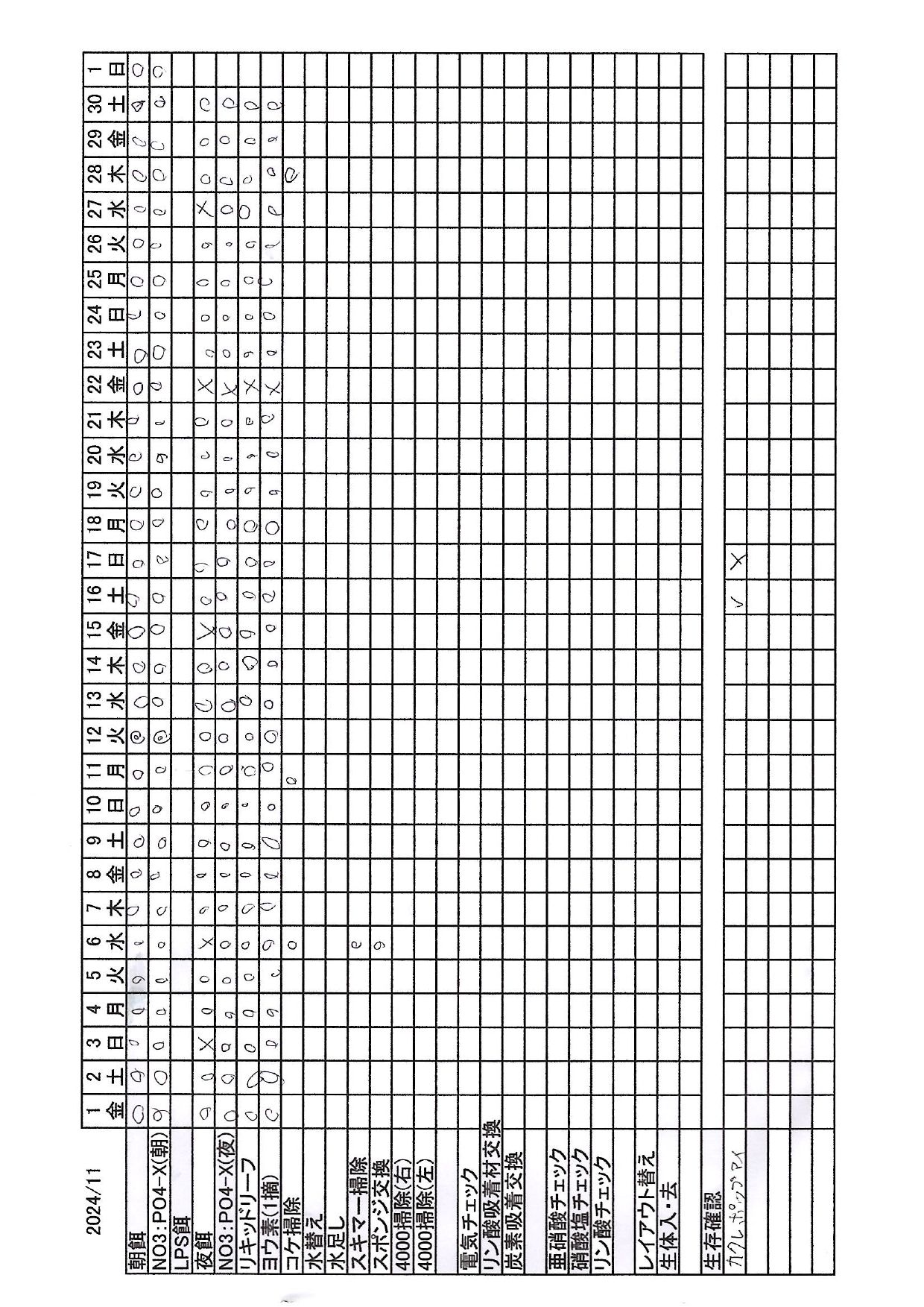 202411水槽記録_page-0001